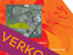 Highlighted image: Bloembollenzandland Egmond aan den Hoef verkocht!